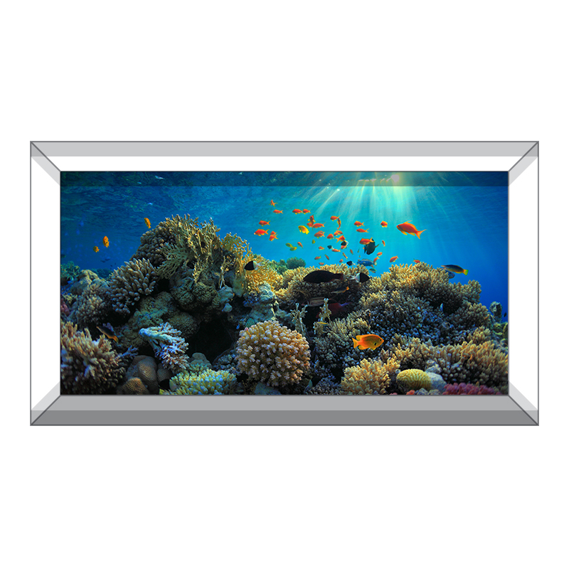 Colorful Reef Background — Aquarium Vinyl