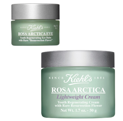 Kiehl's Rosa Arctica Lightweight Cream and Rosa Arctica Eye