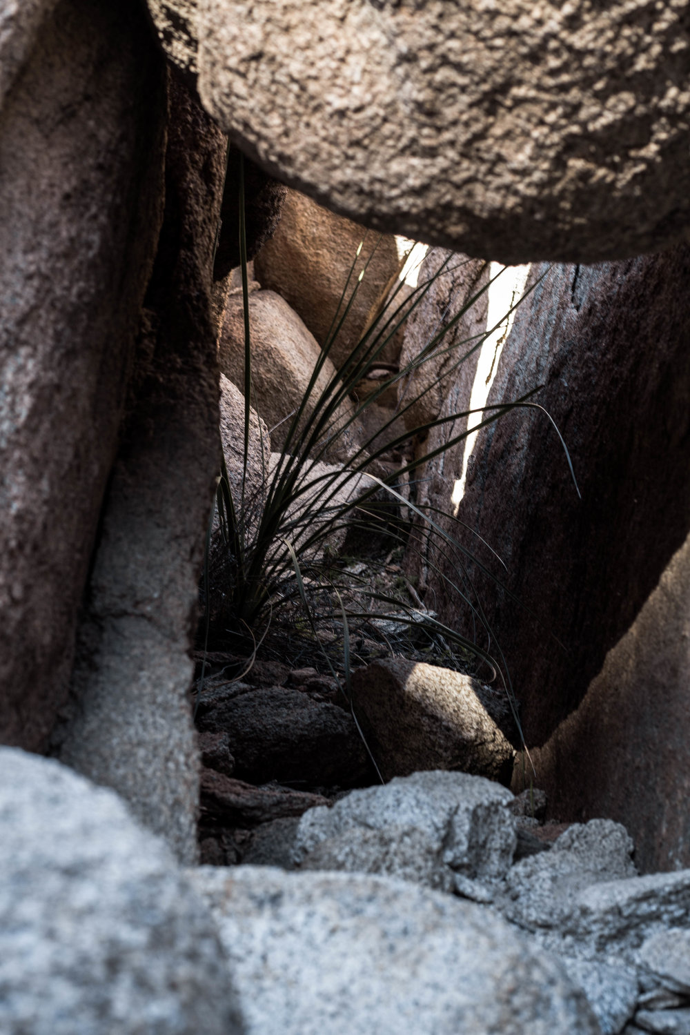 unsettle-co-lifestyle-blog-spaces-joshua-tree-national-park-tunnel-vision