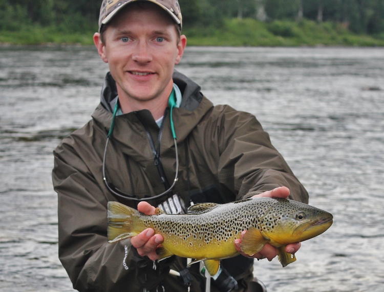 A dry fly eating Norwegian brown trout from a Vefsna River tributary.