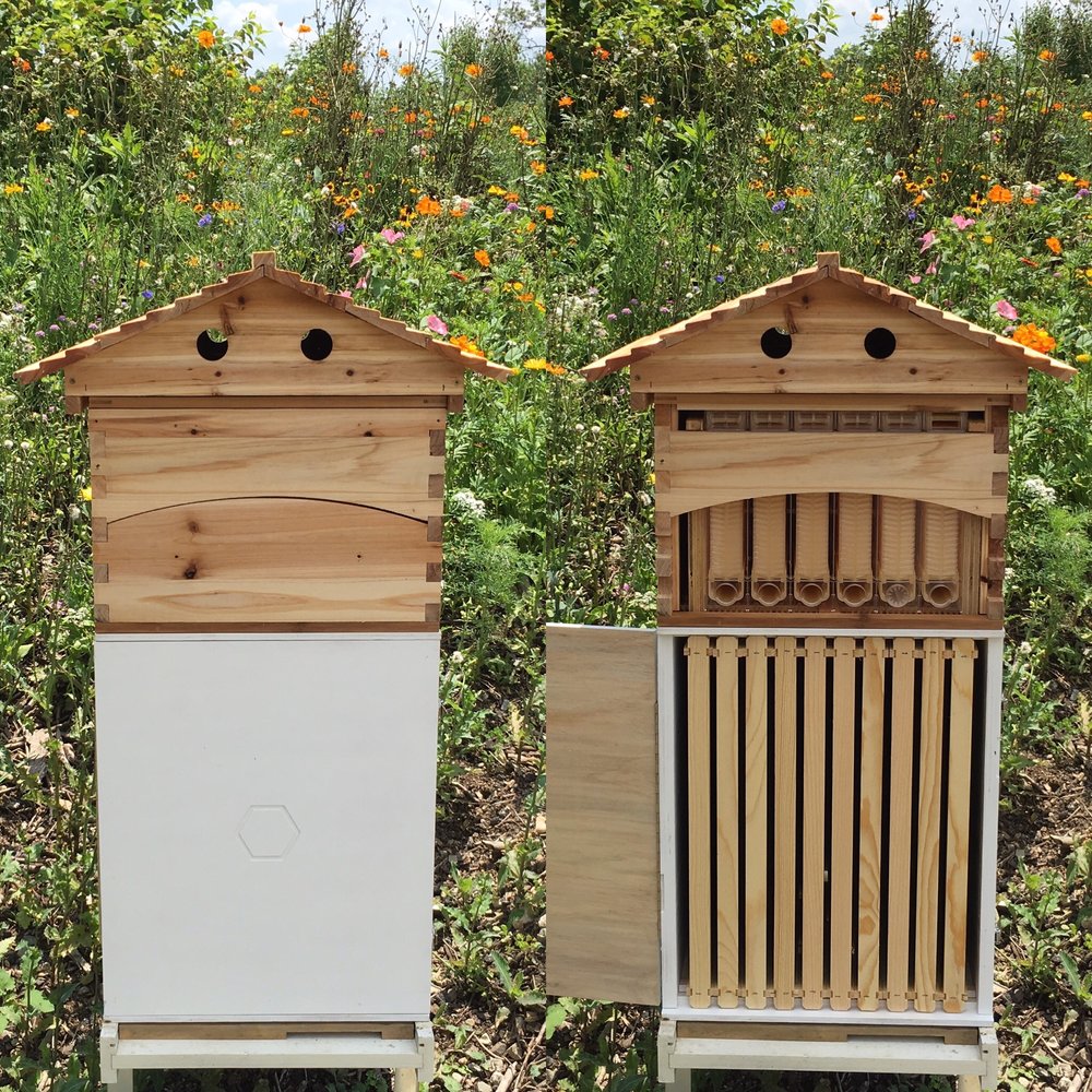 Des Moines Backyard Beekeepers, #iowa, #ag, #bees