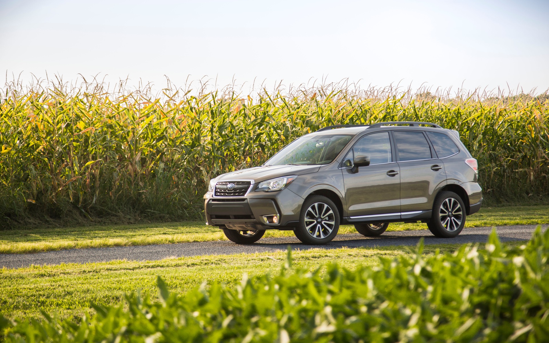Subaru Forester Limited 262 Month 0 Down Ttl