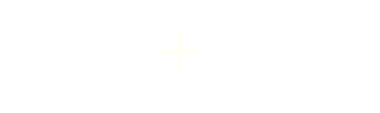 PL+US Logo