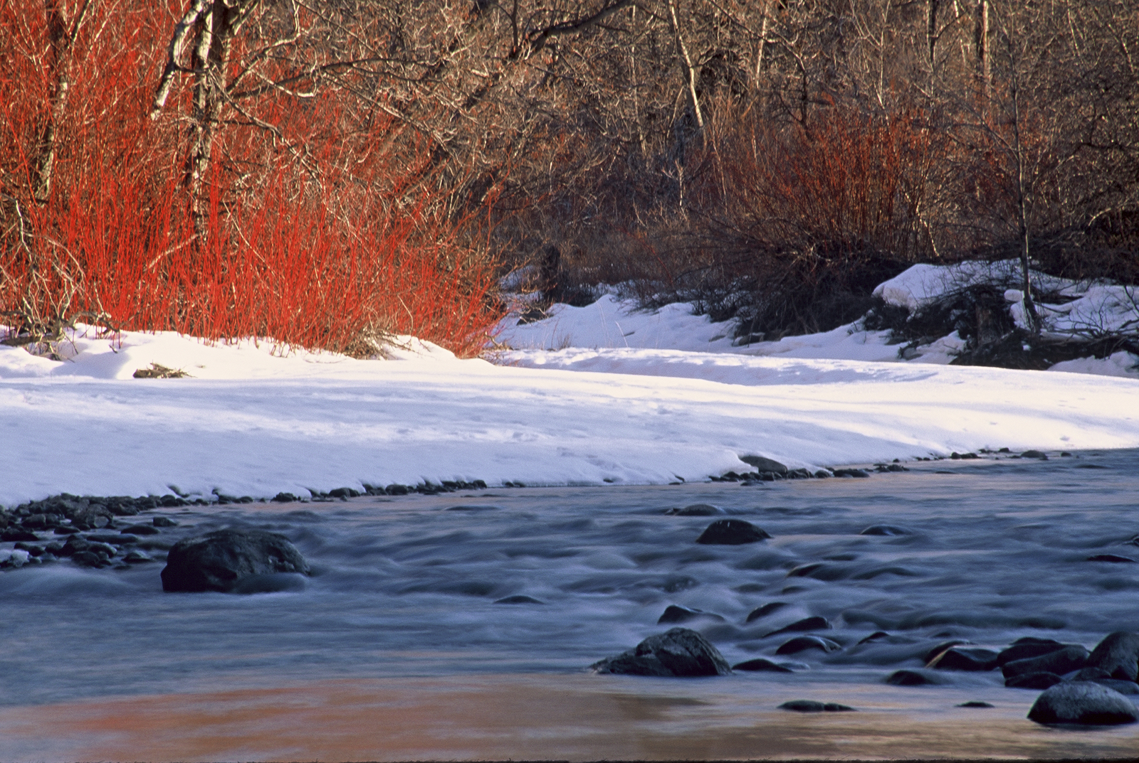 Winter Getaways — The Nature Conservancy in Washington