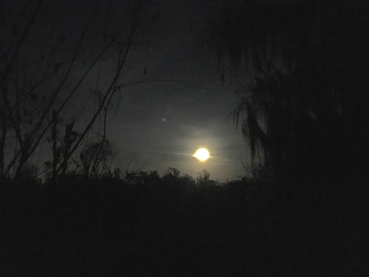 Image result for night walks