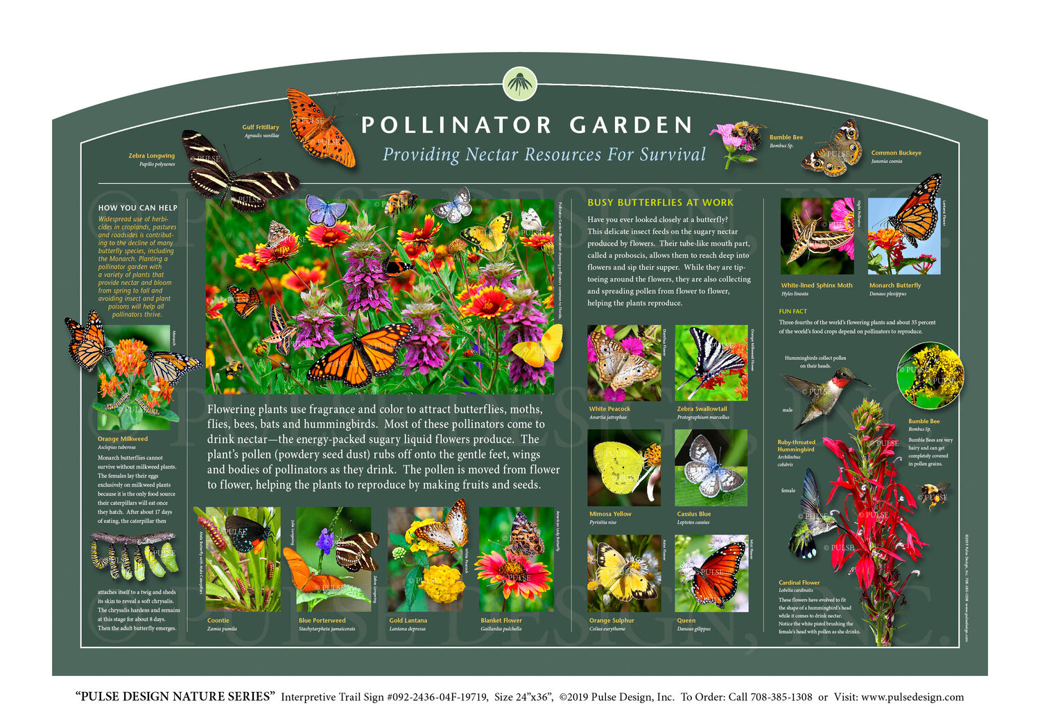 Outdoor Interpretive Sign Pollinator Garden, Guide, Native ...