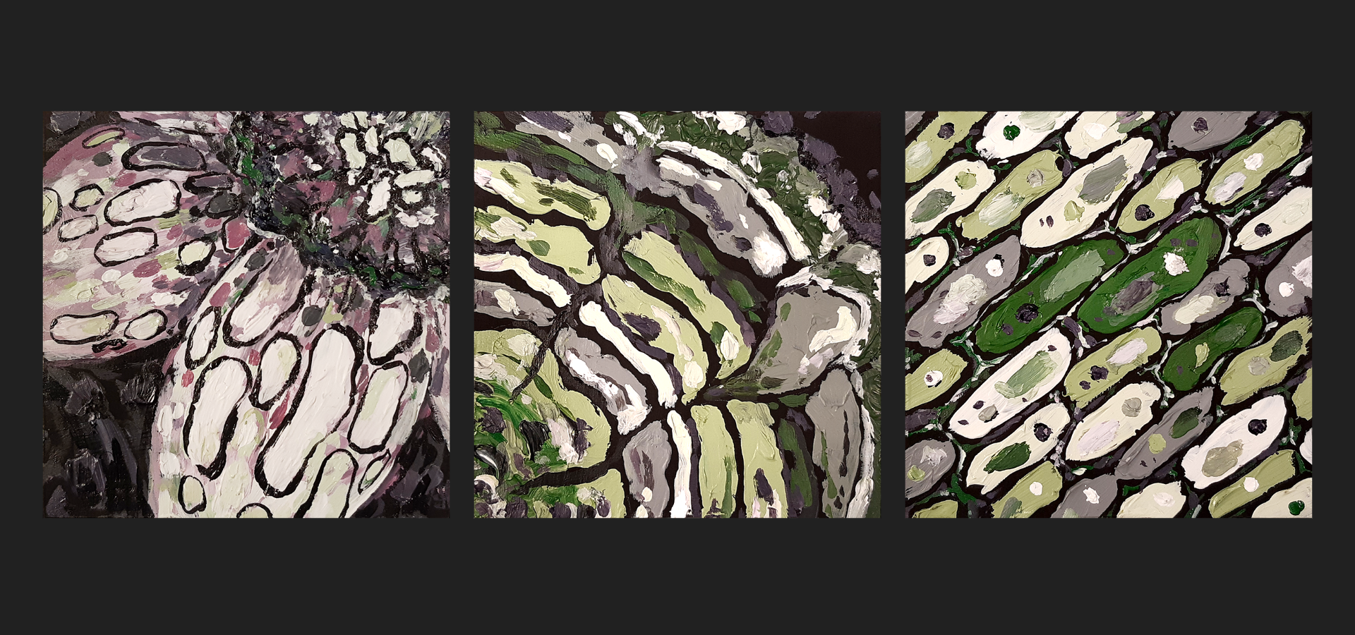 Tryptique de peintures carrées mélangeant les couleurs des drapeaux ace et aro (vert, blanc, violet, noir) dans des motifs ovales. La première représente deux jonquilles en gros plan. La deuxième représente les cernes d'une souche d'arbre en gros plan. La troisième représente des cellules alignées en diagonale.