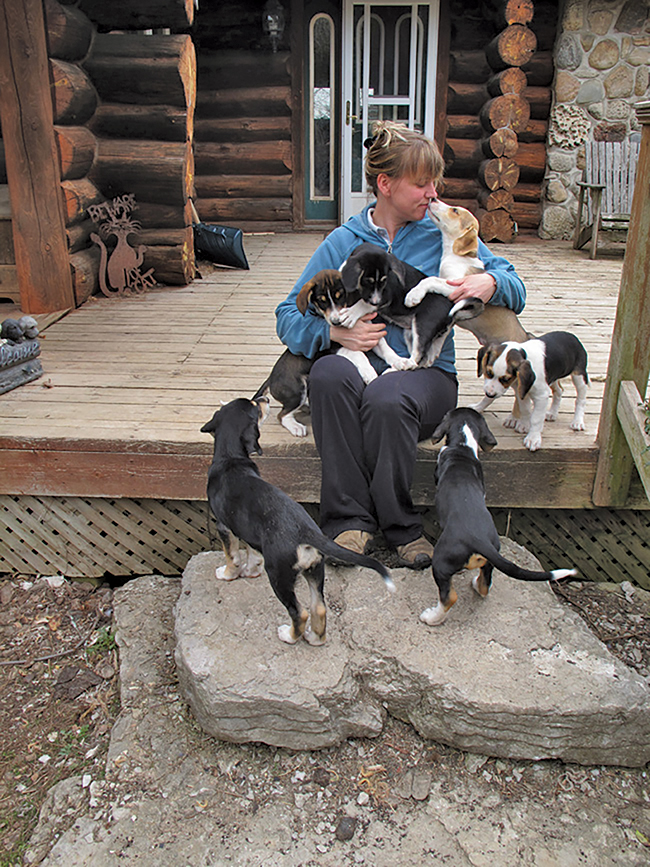 Alison Sabo is the current president of HART, which has been rescuing, rehabilitating and re-homing abused and abandoned dogs in North Hastings.Photo courtesy HART dog rescue