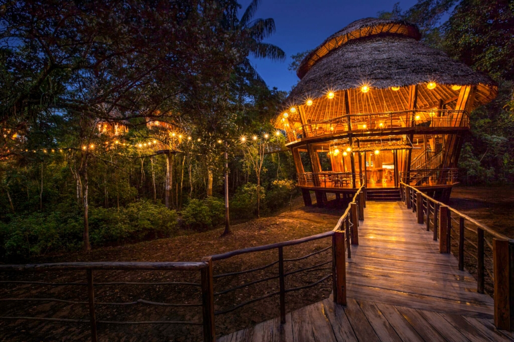 Eco-friendly treehouse hotel reviews for eco-conscious travelers