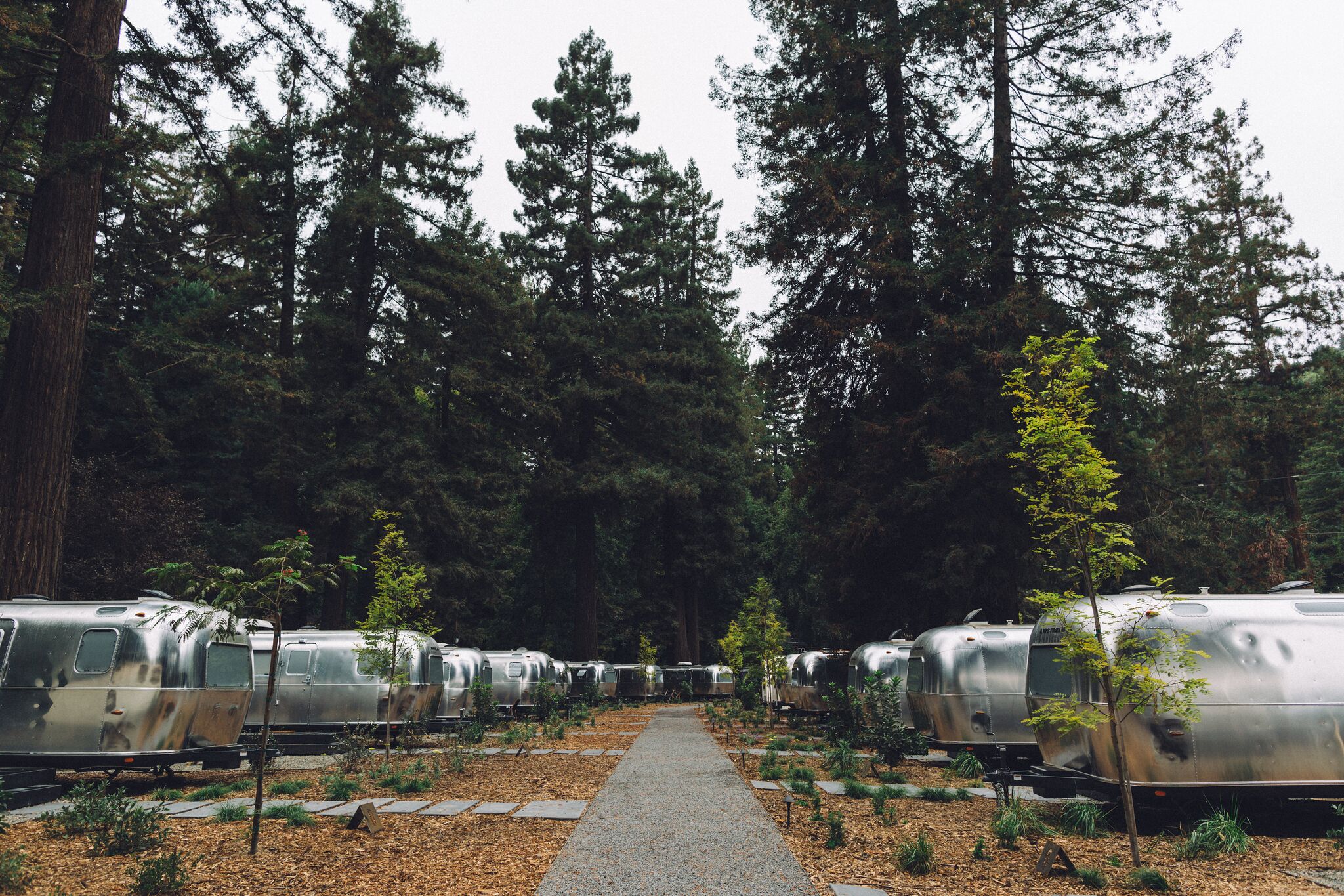 AutoCamp Russian River: The Future of Sustainable High-End Camping