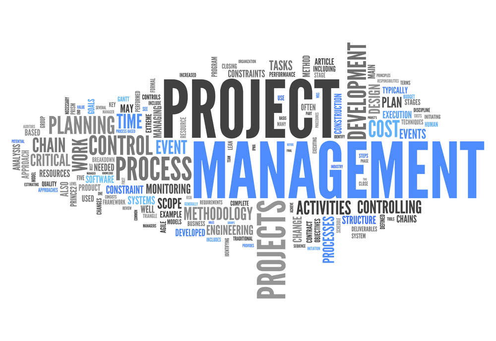 Image result for Fundamentals of Project Management