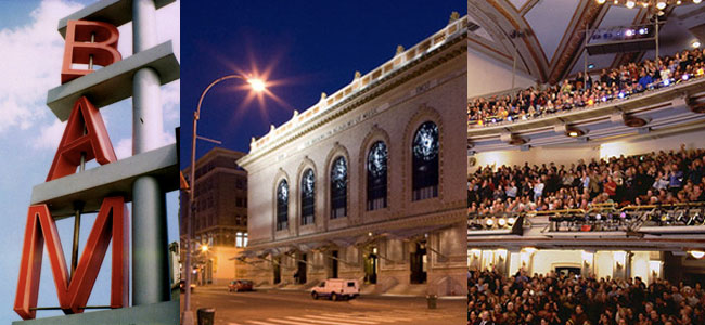 Image result for brooklyn academy of music