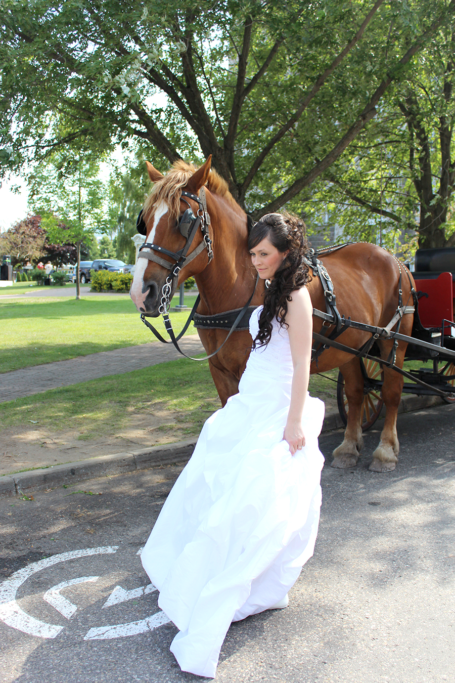 woman in wedding dress with horse