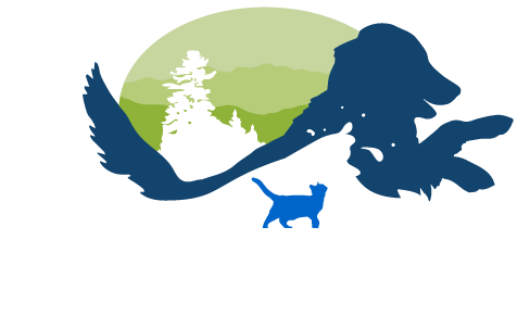 Harbour City Animal Hospital