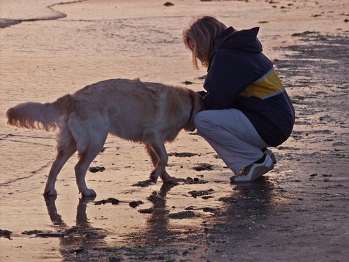 I Will Always Be My Dog's Best Friend — Even If It Inconveniences My Relationship