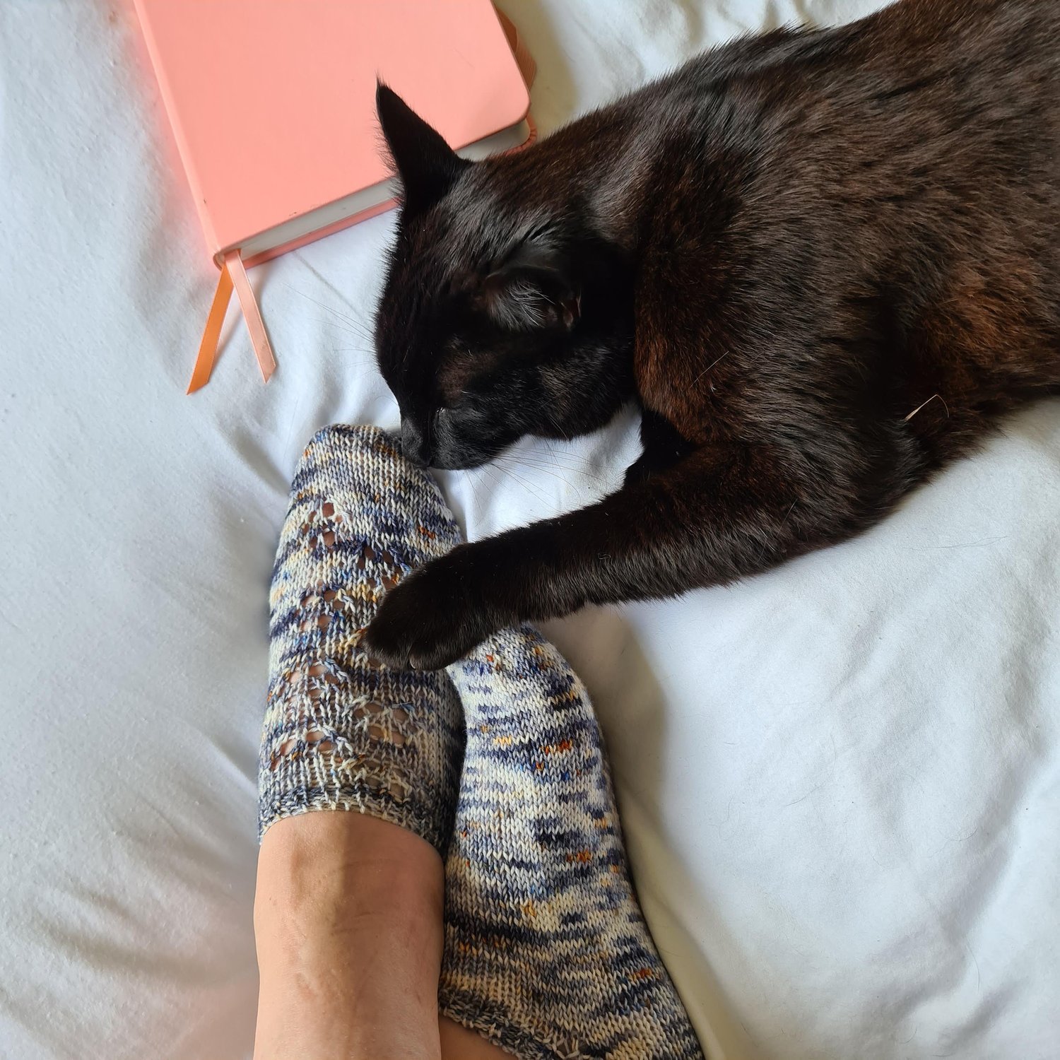 Toe Beans Socks — Louise Tilbrook Designs