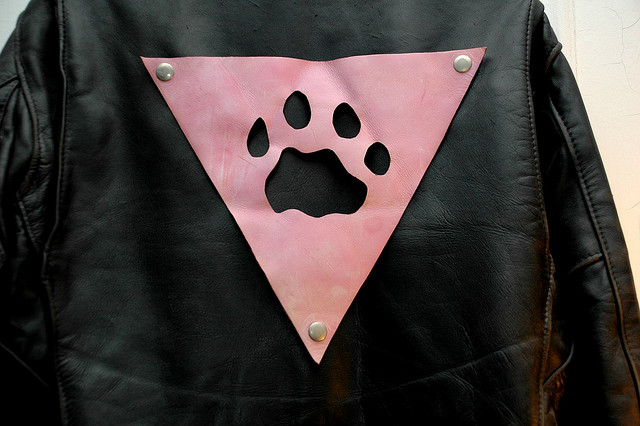 Logo de los Pink Panthers