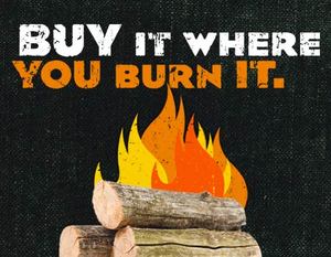 Don't Move Firewood - Learn More >