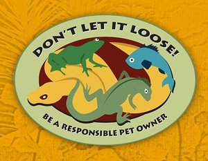Be A Responsible Pet Owner - Learn More >