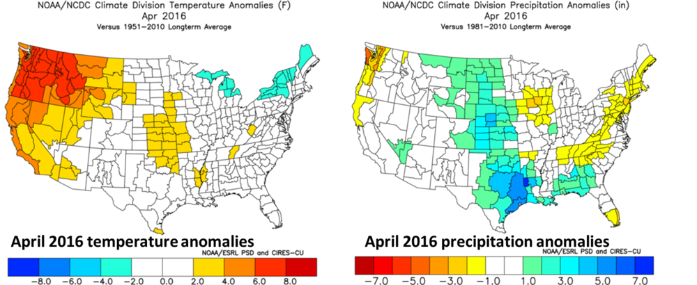 April 2016 temperature (left) and precipitation (right) anomalies; courtesy NOAA