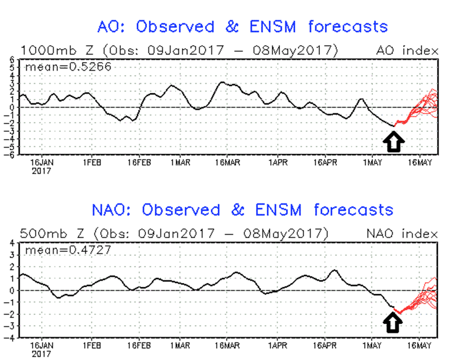 Arctic Oscillation (top) and North Atlantic Oscillation (bottom) index values for the current time and past few months (in black) and forecasted values are shown in red through the month of May; data courtesy NOAA
