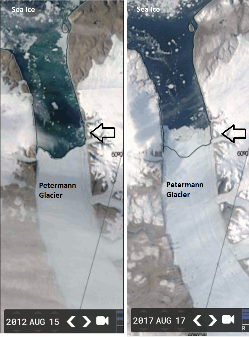 Growth of Greenland's Petermann Glacier during the past five years as revealed by NASA/MODIS satellite imagery from a low point in August 2012 (left) to August 2017 (right)