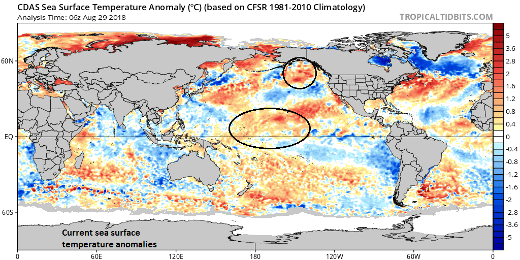  The current sea surface temperature anomaly pattern features a large and expanding area of warmer-than-normal conditions across the central-to-western part of the equatorial Pacific Ocean; courtesy NOAA, tropicaltidbits.com 