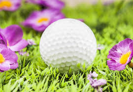 Image result for spring league golf