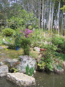 garden at kansetsu museum.jpg