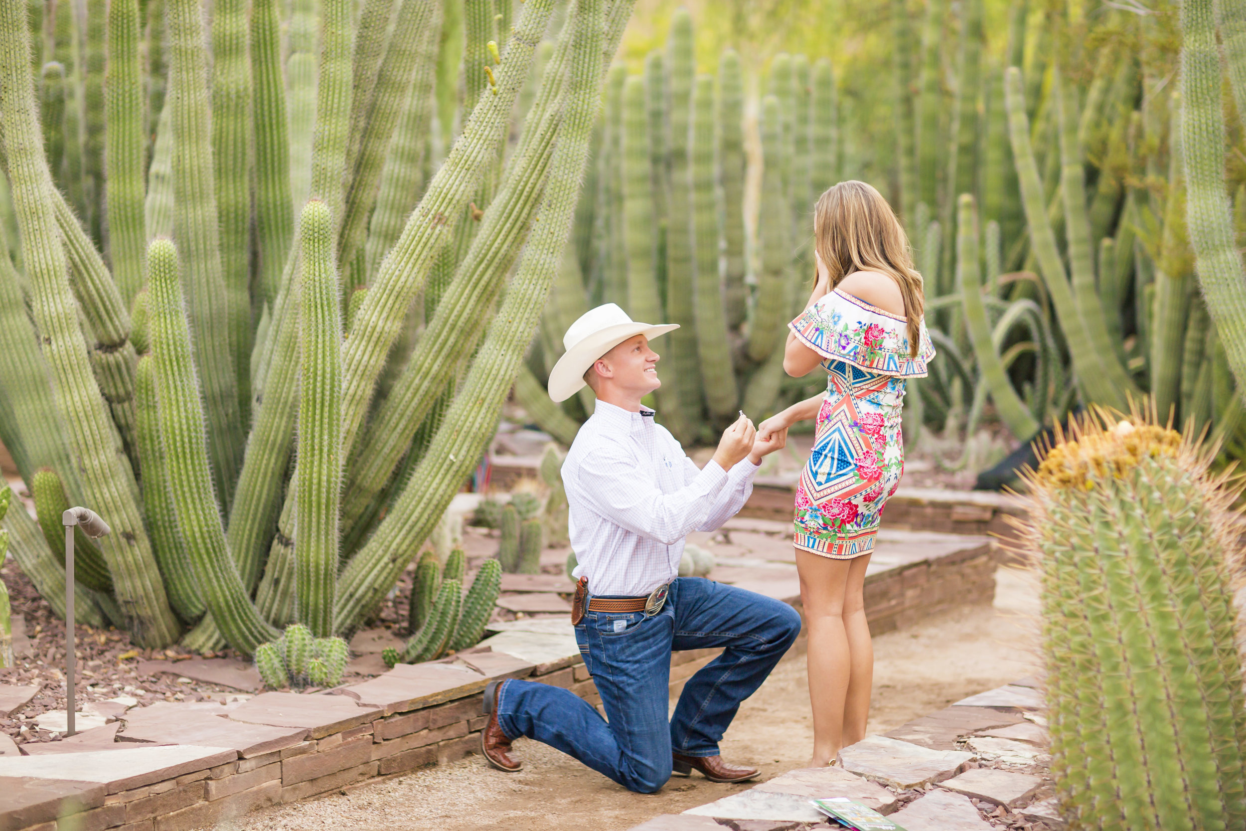 Phoenix Desert Botanical Garden Surprise Proposal Emily Cox