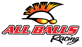 Znalezione obrazy dla zapytania all balls logo