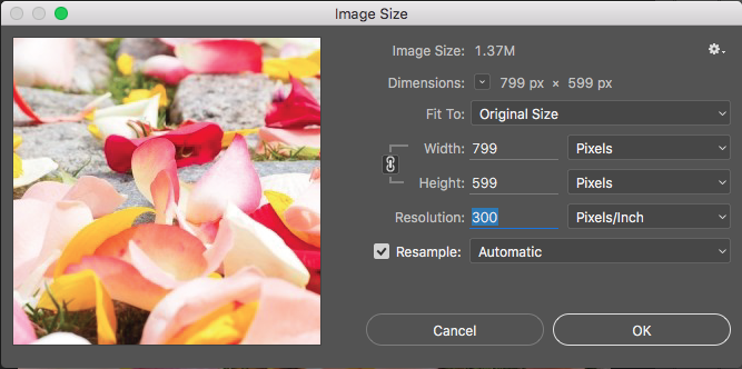Prepara tus archivos para Impresión: Cómo encontrar la resolución de imagen en Photoshop