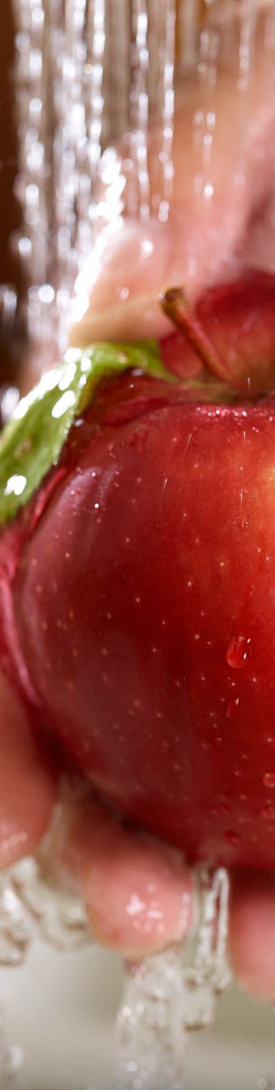 Photograph of apple being washed and gallery of food preparation