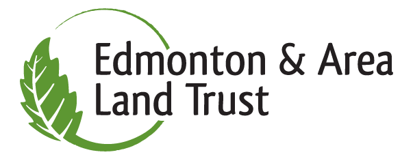 Red Fox — Edmonton & Area Land Trust