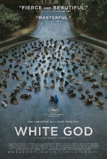 White God (2014) - Movie Review