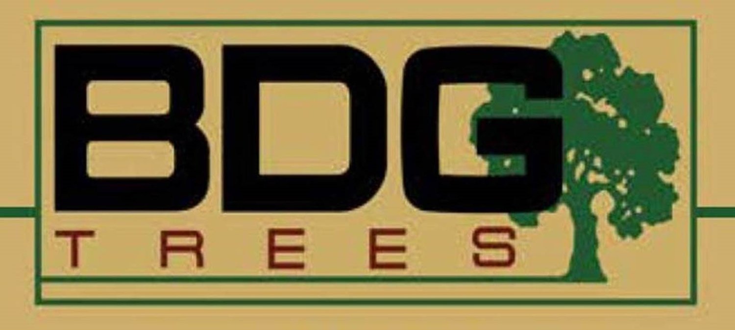 BDGTrees.com