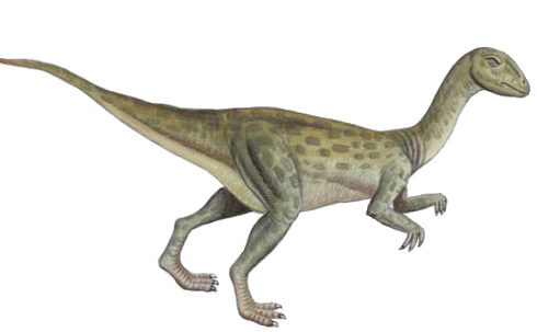 Fabrosaurus