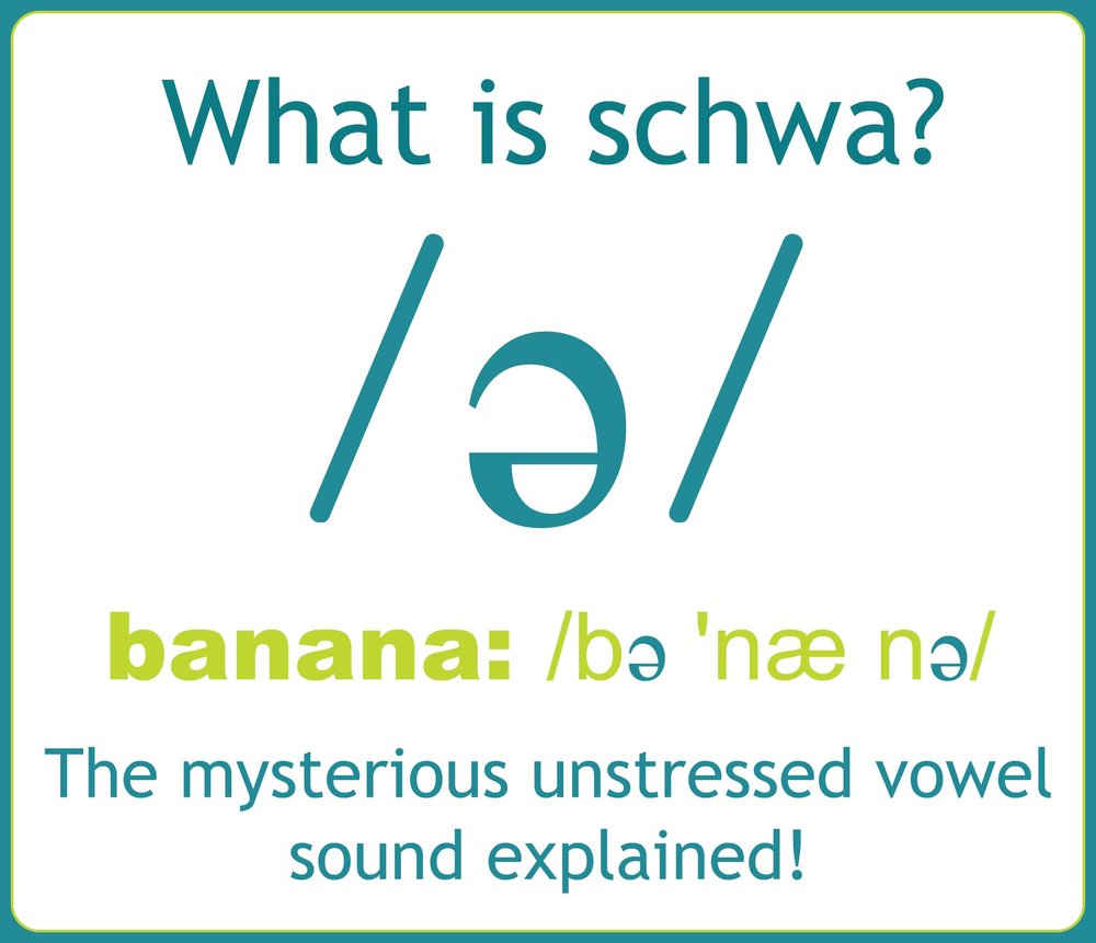What is the schwa sound?