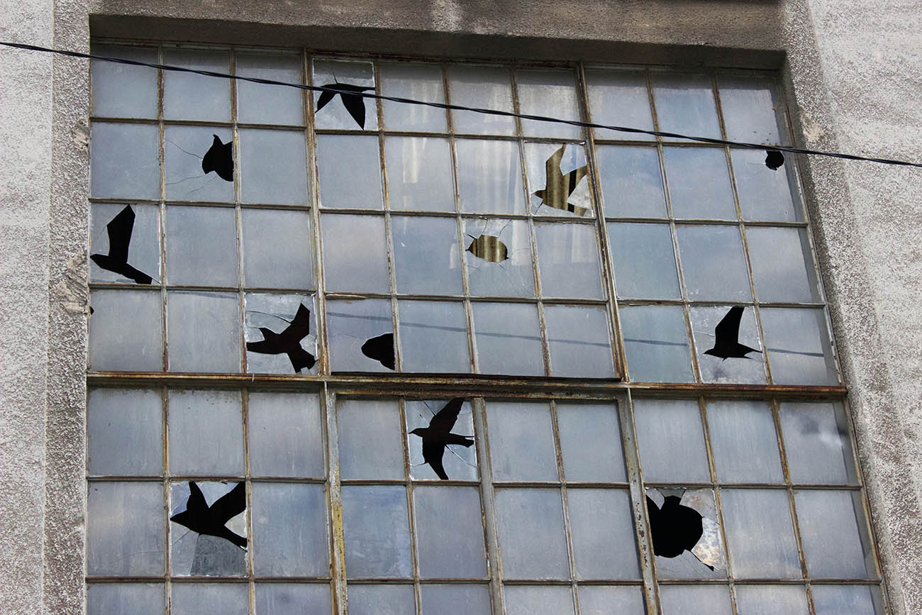 Pejac Appear Birds in cracked glass 