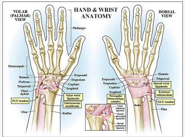 Wrist Pain In Crossfit  U2014 Arrow Physical Therapy