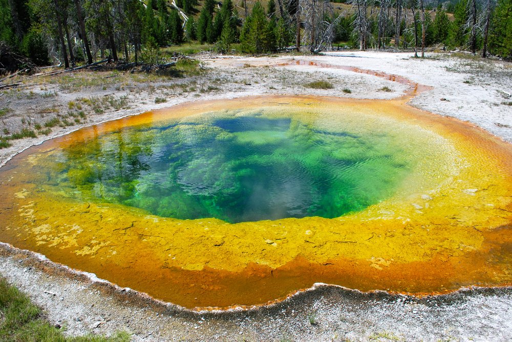 Yellowstone National Park, Idaho, Montana, Wyoming — KidTripster