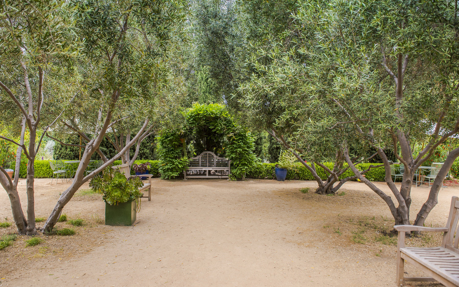 Diseño del paisaje de los jardines de Arlington Pasadena
