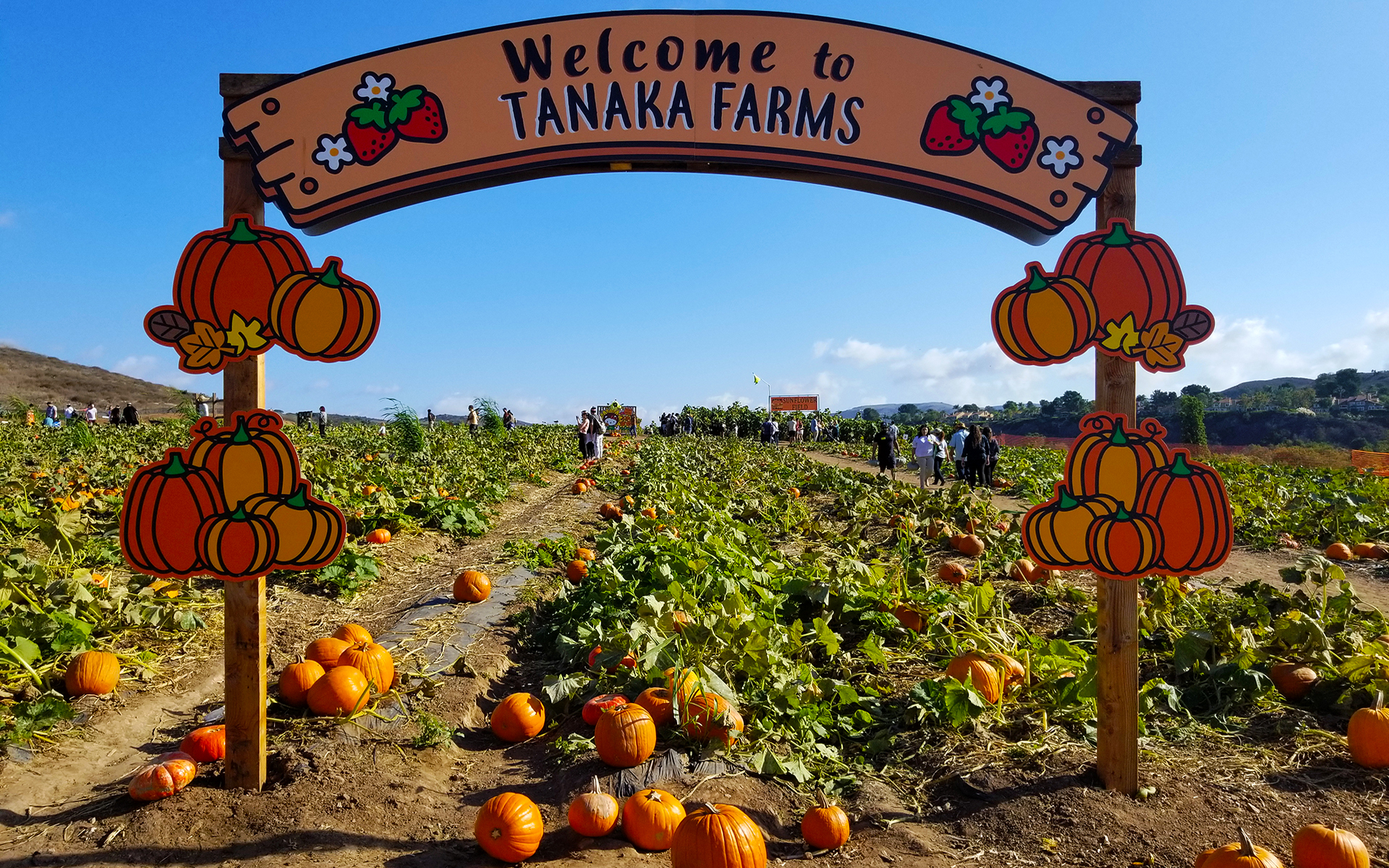 Image result for tanaka farms