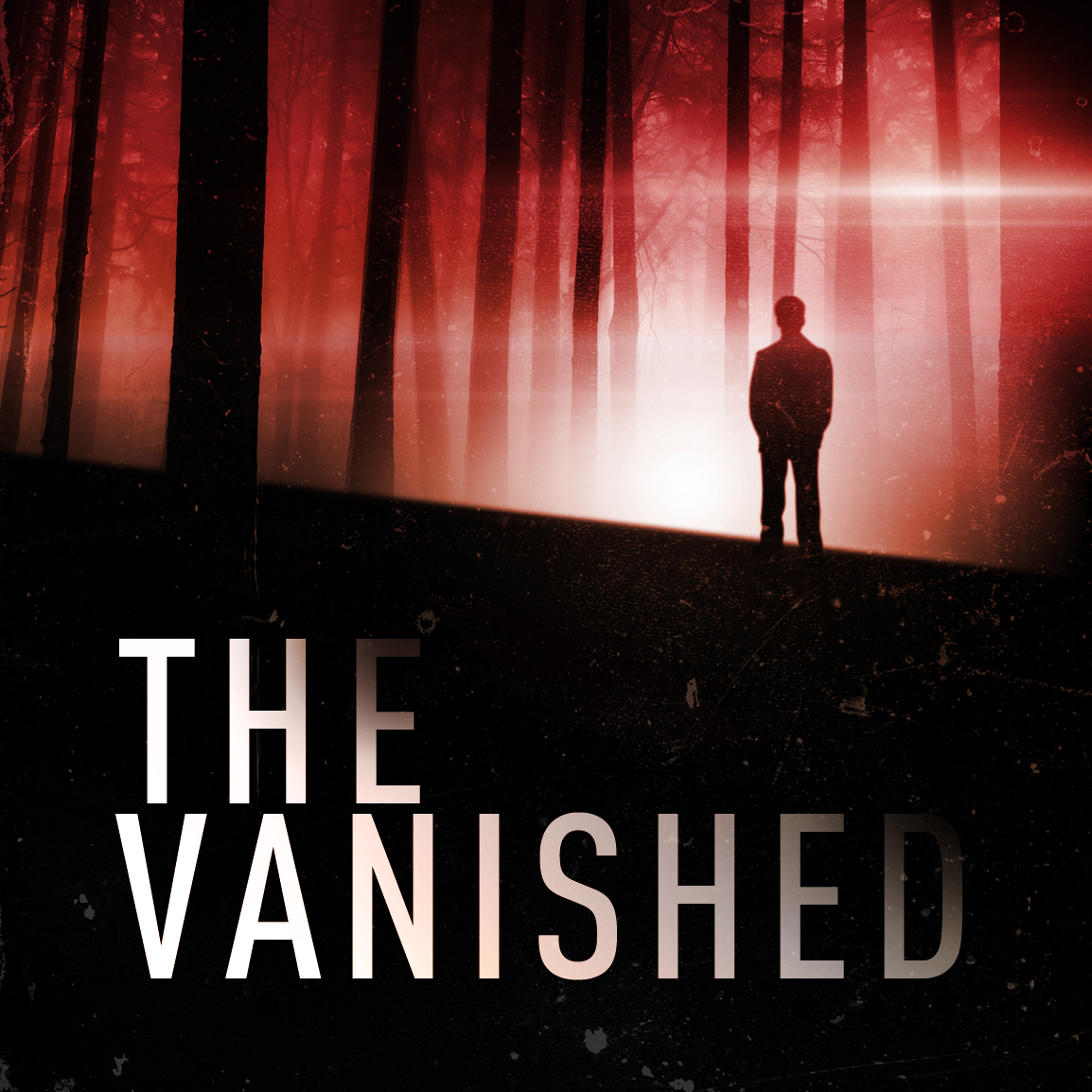 Image result for the vanished podcast