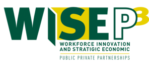 WISE P3 Logo.png