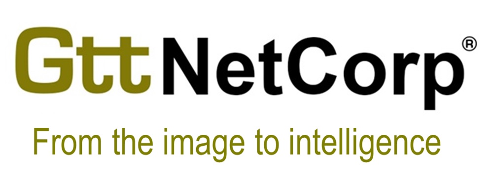 Netcorp It Solutions