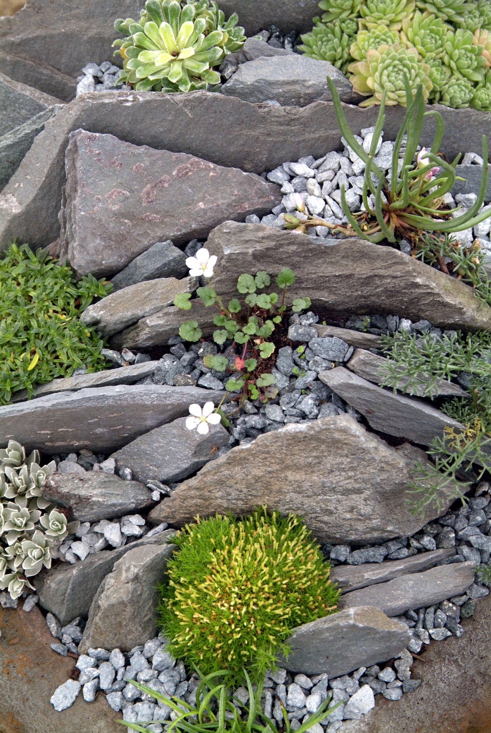  rockeries for small gardens