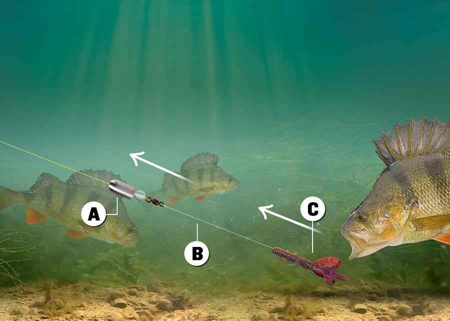 How to tie the Carolina Rig — Angling Times