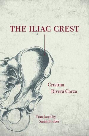 Image result for Cristina Rivera-Garza, The Iliac Crest,