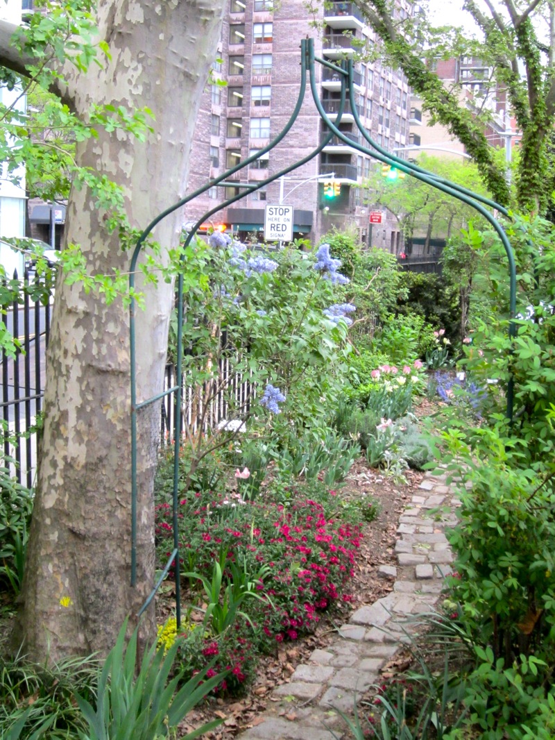 the dewitt clinton rose garden —